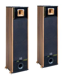 Loa đứng D-600
