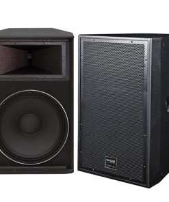 Loa Sân khấu 4 Tấc F156S