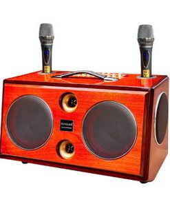 Loa bình xách tay KX-308