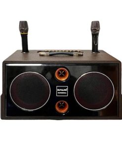Loa bình xách tay KX-308N