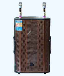Loa Kéo Bình 4 tấc K-217