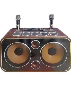 Loa bình xách tay KX-210