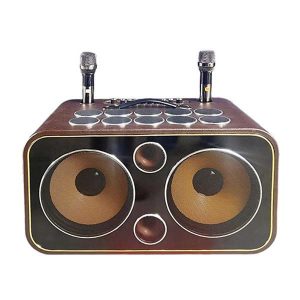 Loa bình xách tay KX-210