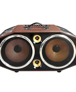 Loa bình xách tay KX-309