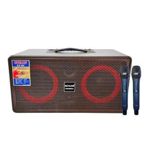 Loa bình xách tay KX-401